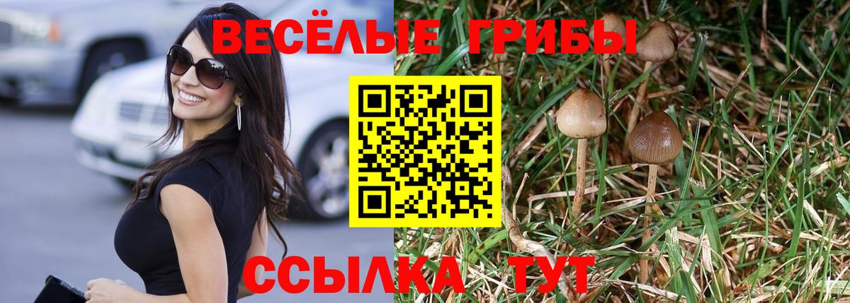 Каменск-Шахтинский  Псилоцибиновые грибы Magic Shrooms  Вход с VPN 